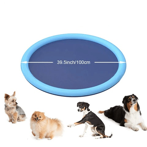 Blue dog frisbee with size measurement and four dogs of different sizes around it.