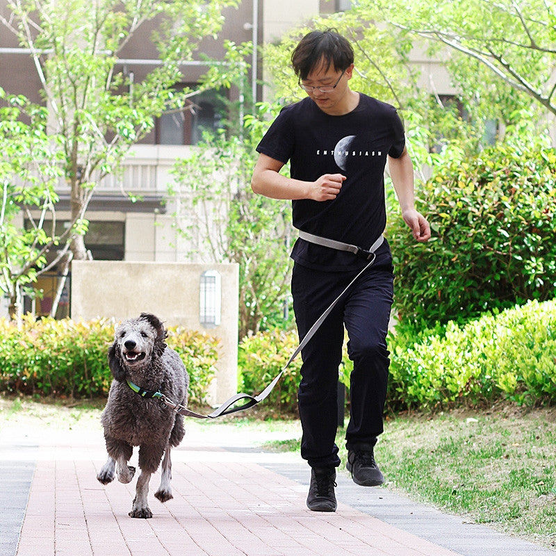 Man walking a dog on a leash in an urban park setting