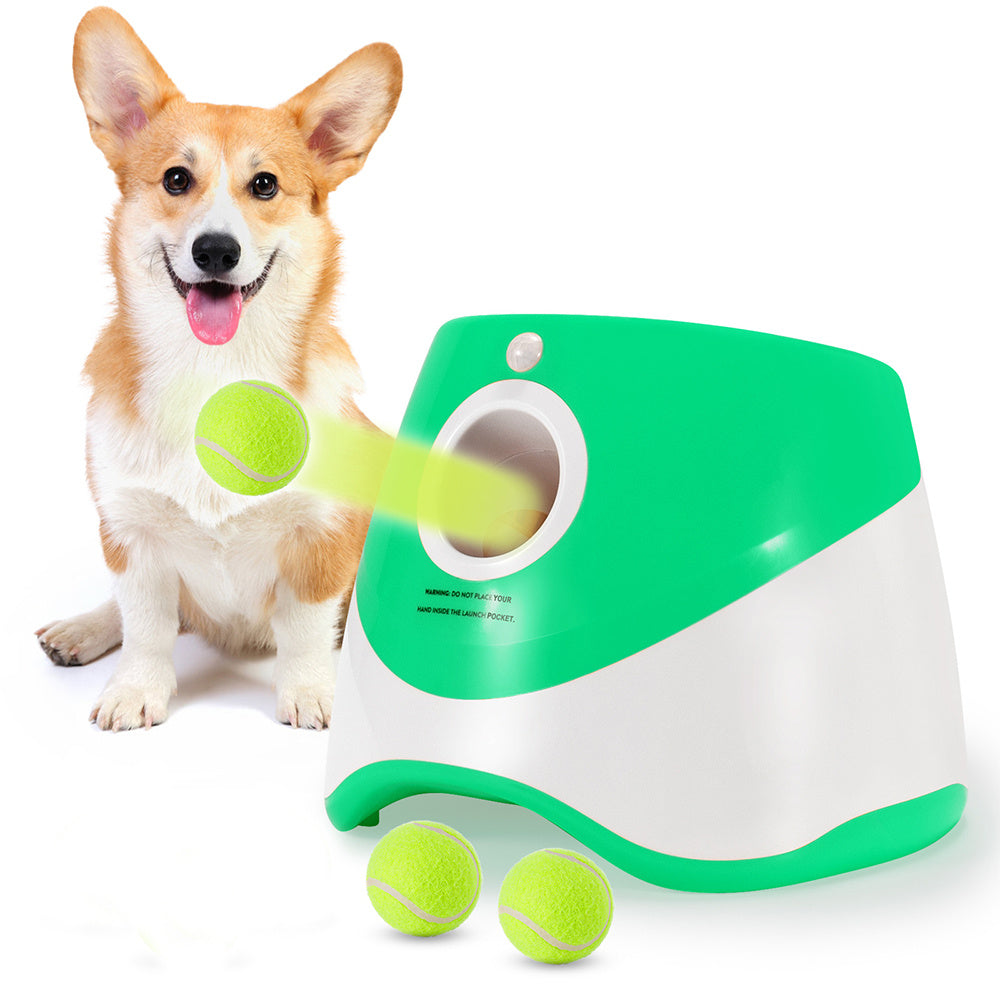 Dog playing with a green and white toy dispenser on a white background