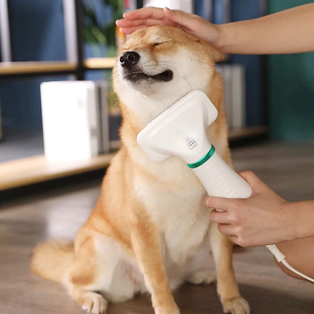 Dog being groomed with a handheld grooming tool in a home setting