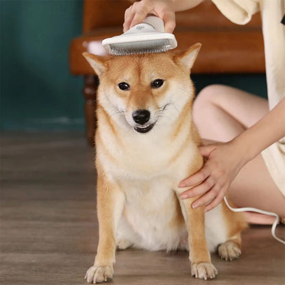 Dog being groomed with a brush by a person on a wooden floor.