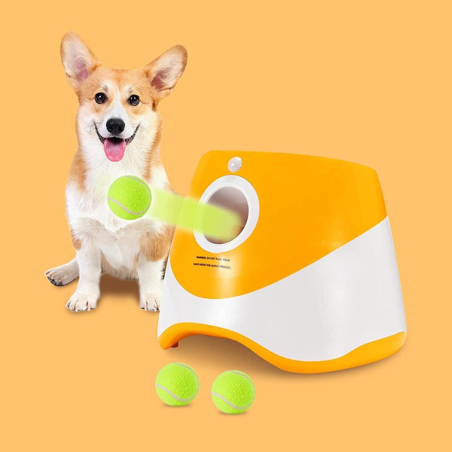 Dog with a toy dispenser and tennis balls on an orange background