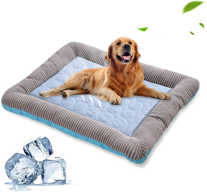 Dog lying on a cool pet bed with ice cubes and leaves in the background