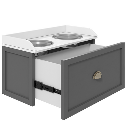 Raised Dog Bowl Station