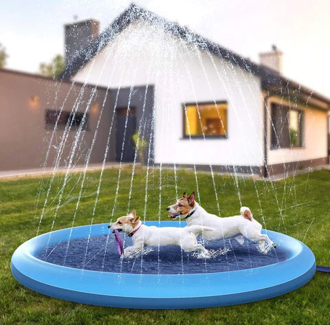 Two dogs playing in a blue inflatable pool with water sprays in a backyard.