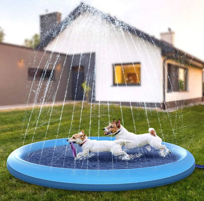Two dogs playing in a blue inflatable pool with water sprays in a backyard.