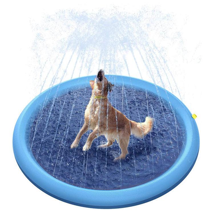 Dog playing in a blue sprinkler pad on a white background